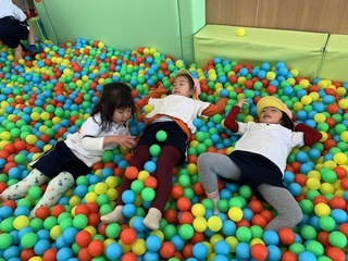 IMG_6234.jpg