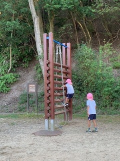 IMG_8679.jpg